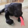 Ermano Peluche 1pcs 40cm Imitation Komodo Dragon Peluche Jouet réaliste poupée lézard rempli Doux Animal Oreiller garçon Cade