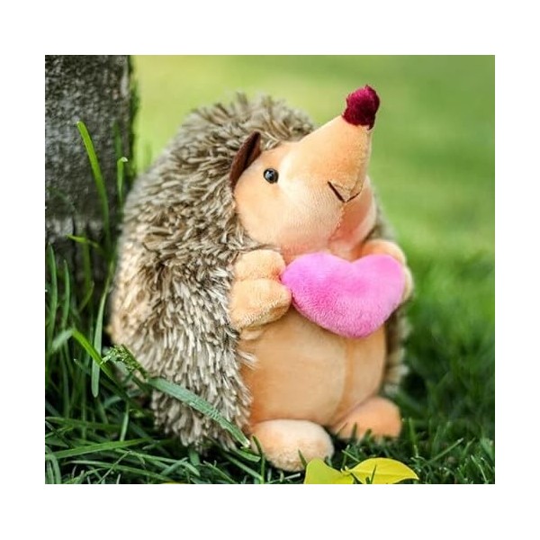 Animaux en Peluche géants Mignons Animaux en Peluche hérisson Couple Cadeau de la Saint-Valentin poupées-50CM, B