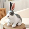 Créatif Mignon Lapin en Peluche Kawaii Animal Pâques Lapin en Peluche Jouet Modèle Poupée Cadeau Décoration D’Anniversaire Ca