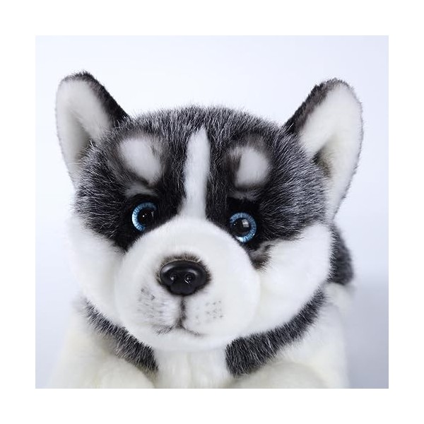 CU-MATE 16 "Siberian Husky Stuffed Dog Animal Simulation-réaliste & réaliste Soft Fait Main couché Chien Peluche Chiot -Cadea