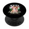 Tenue galloise corgi et jonquille pour enfants et Cymru Pays de Galles PopSockets PopGrip Interchangeable