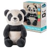 Cloud b Machine sonore apaisante | Peluche douillette | 4 sons et 4 berceuses | Arrêt automatique | Ours panda