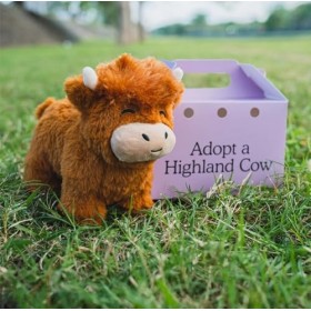 POOLPO Adoptez Une Peluche Vache des Highlands, Une Peluche Vache Mignonne,Jouets Peluche,Une Peluche daccompagnement Vache 