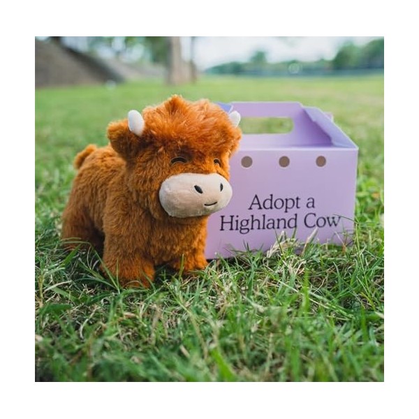 POOLPO Adoptez Une Peluche Vache des Highlands, Une Peluche Vache Mignonne,Jouets Peluche,Une Peluche daccompagnement Vache 