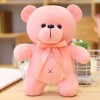 SaruEL Dessin animé Ours en Peluche Peluche Animal en Peluche Enfants Fille Cadeau d’Anniversaire Cadeau de noël 38cm 5