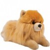 Poméranian Peluche en forme de chien allongé Leander