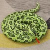 GagaLu Serpent Peluche Jouet géant Python Cobra Peluche Animal Serpent Peluche Jouet Amis Halloween Enfants Cadeau Anniversai