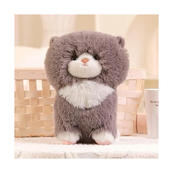 EacTEL Adorable poupée chat peluche chat peluche poupée peluche cadeau pour enfants filles garçons anniversaire 25 cm 3