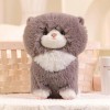 EacTEL Adorable poupée chat peluche chat peluche poupée peluche cadeau pour enfants filles garçons anniversaire 25 cm 3