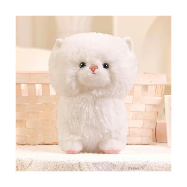 EacTEL Adorable poupée chat peluche chat peluche poupée peluche cadeau pour enfants filles garçons anniversaire 25 cm 3