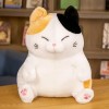 NOpinz Nouveau Dessin Animé Peluche Chat Peluche Jouet Enfants Jouet Canapé Oreiller Kawaii Rembourré Jouet Cadeau Enfant Cha