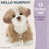 Bearington Peluche Murphy Maltipoo pour chien 13 pouces