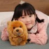 GagaLu Mignon Chow Chow Jouets en Peluche Réaliste en Peluche Animal Chiot Poupée Enfants Jouets Enfants Cadeaux De Noël 30CM