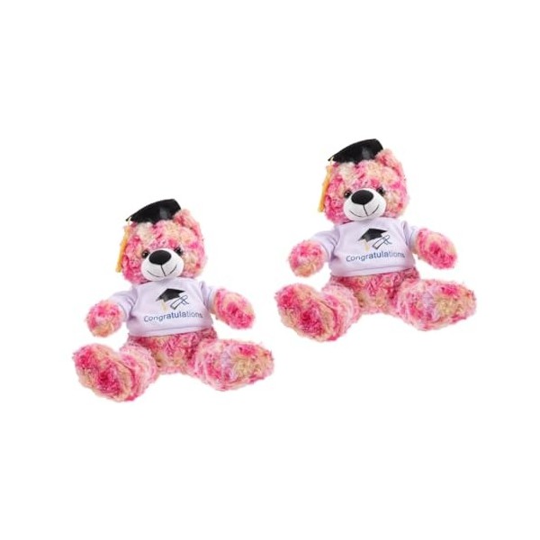 ibasenice Peluche en Peluche Ours Câlin Oreiller Peluche Remise des Diplômes 2023 Ours Poupée Jouet Ours Docteur en Peluche É