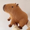 JPSDOWS Jouets en Peluche Capybara, Jouets d’Oreiller en Peluche Doux, Peluche Animal en Peluche de 45 cm/17,7 Pouces pour Ch