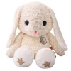 Lapin Peluche Jouet Peluche Lapin Longues Oreilles Oreiller Jouet Enfants Jouet Anniversaire Saint Valentin Cadeaux 25cm 2