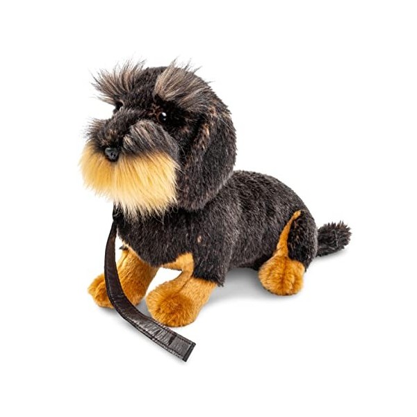 Uni-Toys - Teckel à Poil Rugueux, Assis avec Laisse - 22 cm Hauteur - Peluche Chien, Teckel, Animal de Compagnie - Peluch