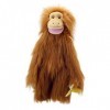 The Puppet Company Primats Moyens Orang-outan Marionnette à Main