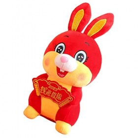 Totority 2 Pièces Enfants Lapin Jouet Lapin Mascotte Poupée Lapin Mascotte Jouet en Peluche Lapin Jouet 2023 Nouvel an Fortun