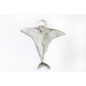 Wild & Soft Costume de requin Déguisement Cape Costume denfant Carnaval Halloween, 90 x 115 cm