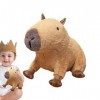 BRULEA Peluche en Peluche Capybara - Jouets d’Oreiller en Peluche Doux | Poupée en Peluche Capybara de 45 cm/17,7 Pouces, pou