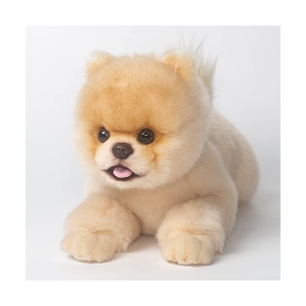 CU-MATE poméranie Animaux en Peluche Chien Jouet, Chiot en Peluche réaliste Chien Jouet Mignon Cadeau pour Les Filles garçons