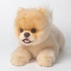 CU-MATE poméranie Animaux en Peluche Chien Jouet, Chiot en Peluche réaliste Chien Jouet Mignon Cadeau pour Les Filles garçons