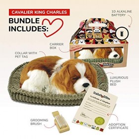 Plenty Gifts- Perfect Petzzz Soft Cavalier King Charles, 96309, Universel, Taille Unique