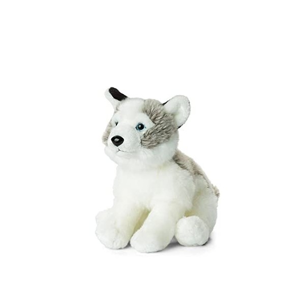 WWF - Peluche Chien Husky - Peluche Réaliste avec de Nombreux Détails Ressemblants - Douce et Souple - Normes CE - 23 cm