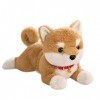 HYSTERIA Jouets en Peluche Poupée Shiba Inu Mignonne, Chiot, Oreiller de Couchage for Enfants, Jouet en Peluche, Simulation d