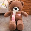 Câlin Ours Poupée Ours en Peluche Mignon Peluche Ours en Peluche Fille Lit Coussin Fille Cadeau D’Anniversaire Ours Amant Cad