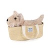 Histoire dOurs - Peluche Chien Fox - Marron - 25 cm - LES PETITS NOMADES - HO3152