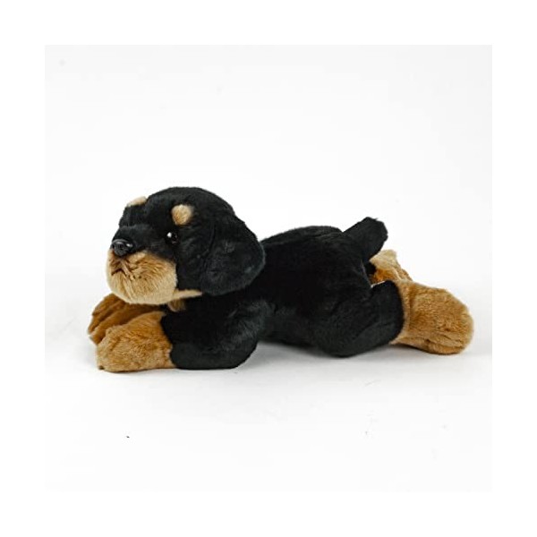 Teddys Rothenburg Rottweiler Peluche 30 cm pour chien couché