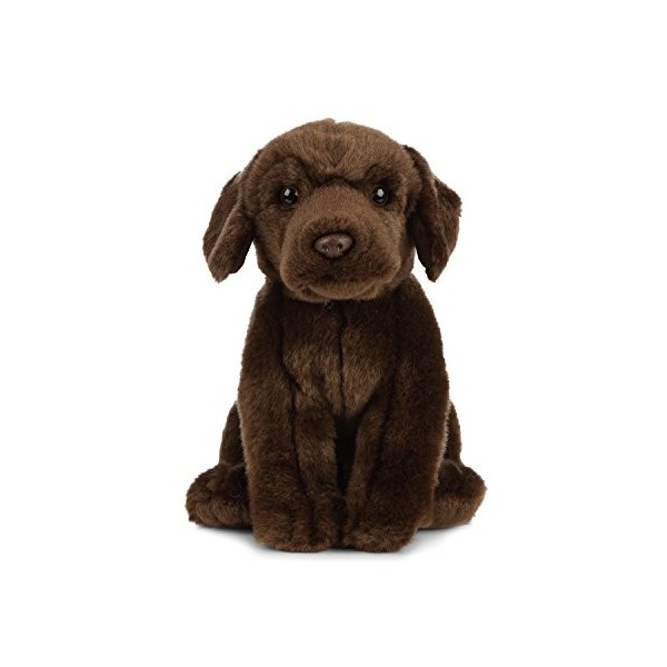 Peluche Living Nature - Chien Labrador en peluche, brun chocolat 20 cm 