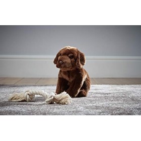 Peluche Living Nature - Chien Labrador en peluche, brun chocolat 20 cm 