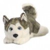 Aurora, 26263, MiYoni Husky couché 11In, Peluche, Gris