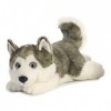 Aurora, 26263, MiYoni Husky couché 11In, Peluche, Gris