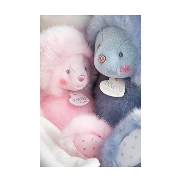 Doudou et Compagnie - Peluche Ourson Avec Doudou Mouchoir - 30 cm - Bleu - Trop Mimi - DC3554