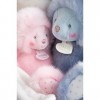 Doudou et Compagnie - Peluche Ourson Avec Doudou Mouchoir - 30 cm - Bleu - Trop Mimi - DC3554