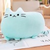 SaruEL Kawaii Chat Oreiller Peluche Biscuit Peluche Animal Chaton poupée coloré Peluche Jouet Coussin Cadeau Anniversaire Cad