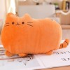 SaruEL Kawaii Chat Oreiller Peluche Biscuit Peluche Animal Chaton poupée coloré Peluche Jouet Coussin Cadeau Anniversaire Cad
