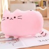 SaruEL Kawaii Chat Oreiller Peluche Biscuit Peluche Animal Chaton poupée coloré Peluche Jouet Coussin Cadeau Anniversaire Cad
