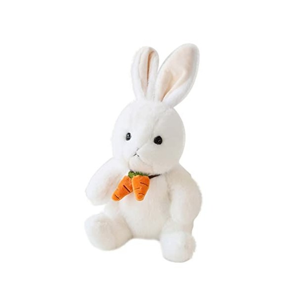 ibasenice Poupée De Lapin Poupée De Lapin Pelucheux Oreiller Câlin Lapin De Pâques Jouet en Peluche Lapin De Pâques Animal en