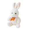 ibasenice Poupée De Lapin Poupée De Lapin Pelucheux Oreiller Câlin Lapin De Pâques Jouet en Peluche Lapin De Pâques Animal en