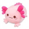 Axolotl – Oreiller en peluche Axolotl – Jouet en peluche Axolotl – Coussin en peluche pour anniversaire, Noël, décoration di