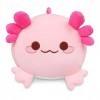 Axolotl – Oreiller en peluche Axolotl – Jouet en peluche Axolotl – Coussin en peluche pour anniversaire, Noël, décoration di