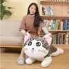 Kawaii Chat Peluche Jouet Chat Peluche poupée Peluche Animal poupée Chat Peluche poupée Enfants Oreiller Anniversaire Cadeaux