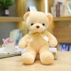 EacTEL Kawaii Peluche Ours en Peluche Mignon Animal en Peluche Ours en Peluche Oreiller Fille Chambre Décoration Poupée Enfan