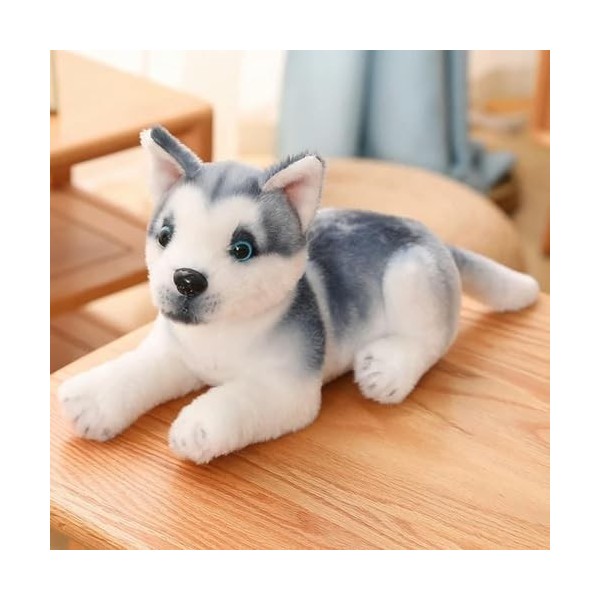 EacTEL Husky Jouets en Peluche Chiot Peluche Animaux Mignon Chien en Peluche Kawaii Enfants poupées Fourrure Cadeaux d’Annive