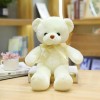 EacTEL Ours en Peluche Kawaii, Jouet Animal en Peluche Mignon, Jouet en Peluche Oreiller, décoration de Chambre de Fille, Cad